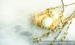 Easter holiday concept with pastel decorative eggs in nests with pussy willow 0JGNWZ
