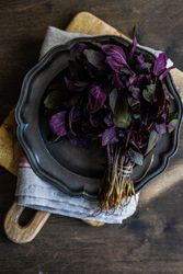 Healthy food concept with fresh basil