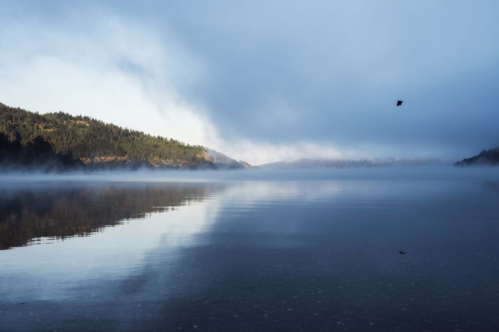 Open water surface surrounded by mountains and lonely flying bird in sky