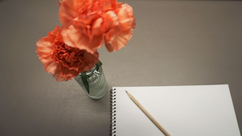 Carnations  in vase and letters