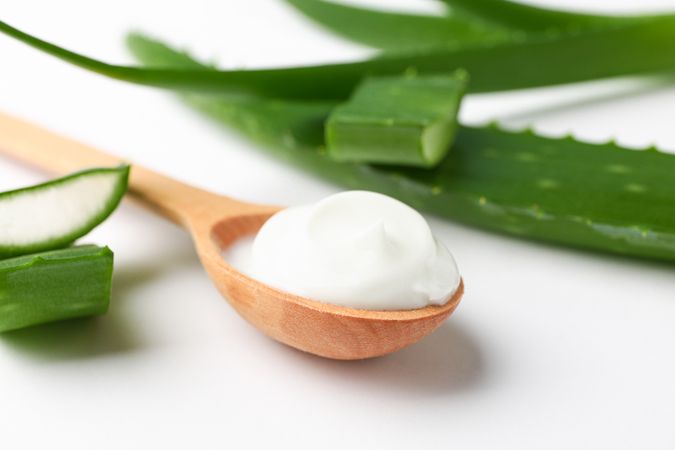 Composition with natural treatment accessories on plain background, closeup. Aloe vera