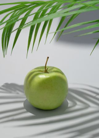 Apple under a palm leaf