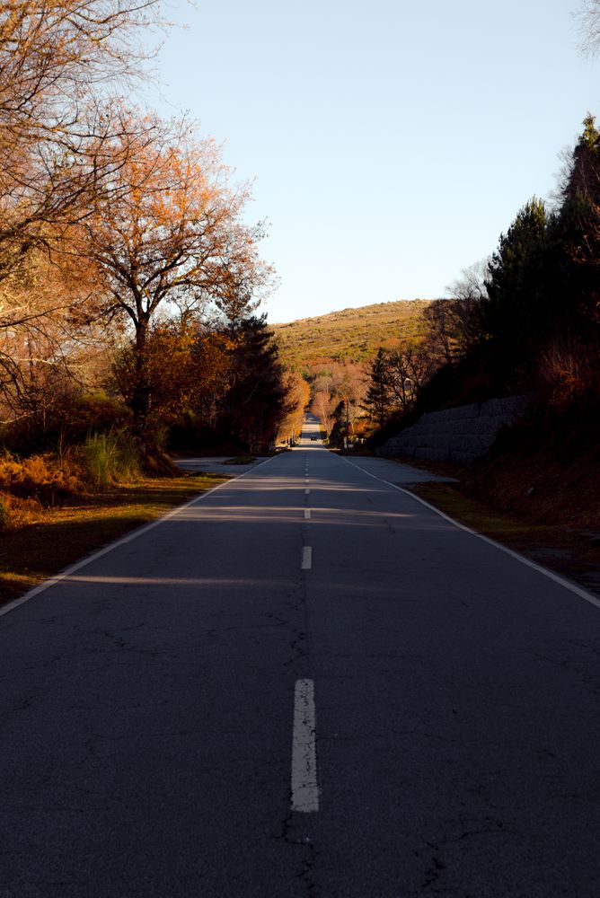 Asphalt road in autumn countryside