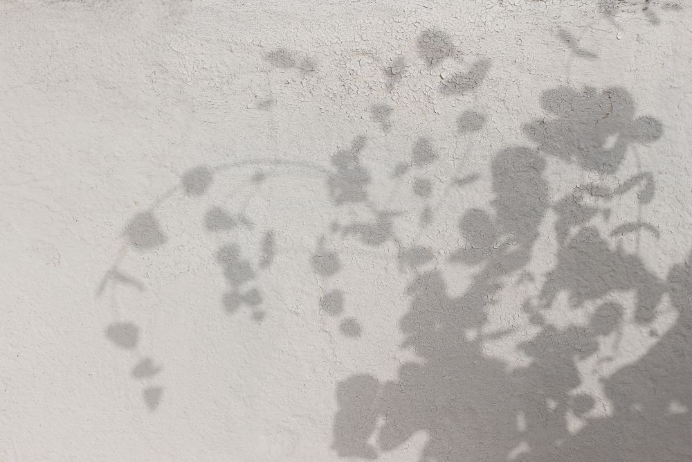 Aesthetic shadows of branches on neutral beige wall background
