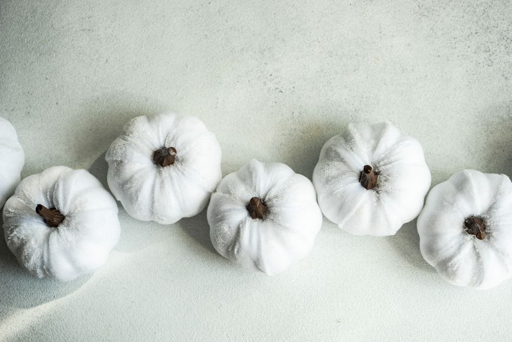 Top view of decorative ceramic pumpkins