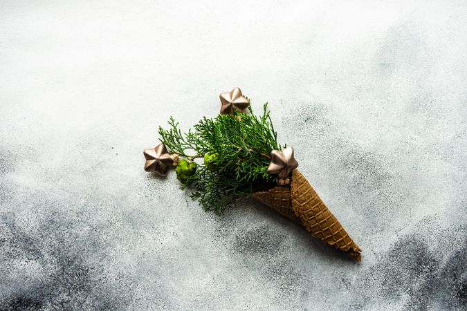 Christmas holiday concept with cone full of green thuja and star ornaments