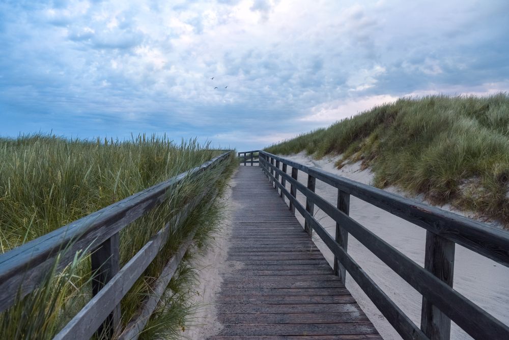 Pedestrian footpath at magic hour on Sylt island, Germany