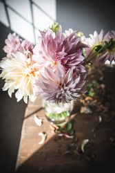 Bunches of flowers in vases on table
