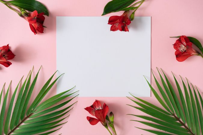 Red flowers and tropical leaves on pink background with light  paper card