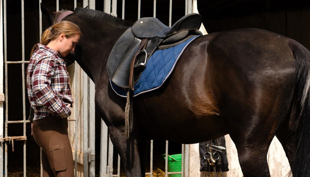 Woman bonding with saddled horse in stable.