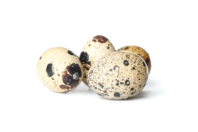 Raw quail eggs isolated on plain background