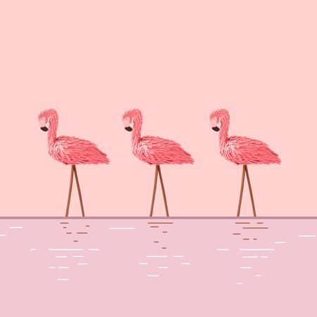 Row of pink flamingos on pink background