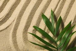 Composition for Zen, Relaxation, Harmony and Balance concept