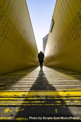 Person walking on yellow wooden pathway 0PWX7b