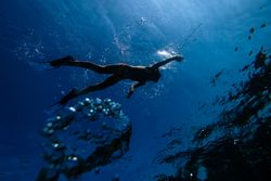 Anonymous male swimmer in diving mask and fins floating underwat