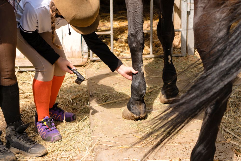 Girl brushes horse's leg while instructor watches.