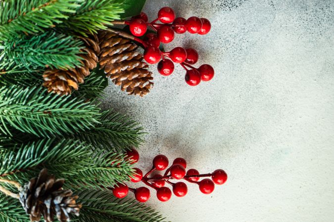 Wintry branches lining side of image with berries and pine cone