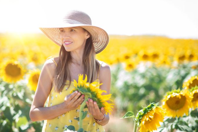 Content woman in straw hat gazing while standing on bright sunflower field