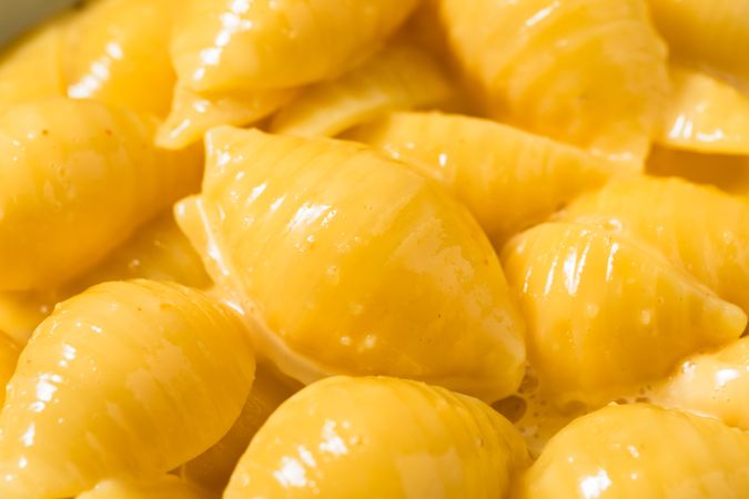 Warm Homemade Macaroni and Cheese Pasta Shells