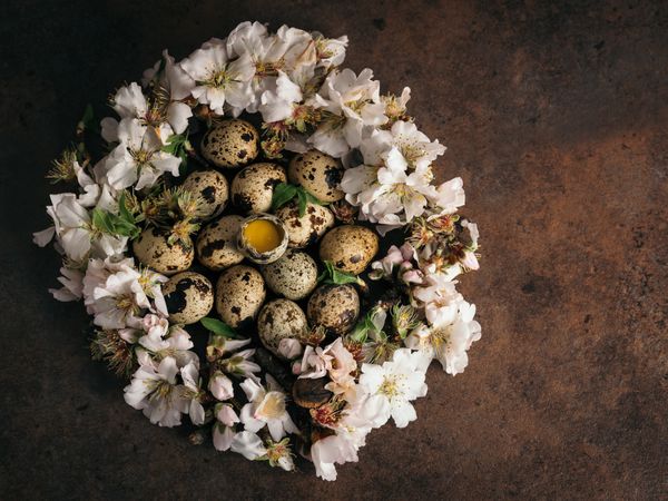 Quail eggs in flowers on table
