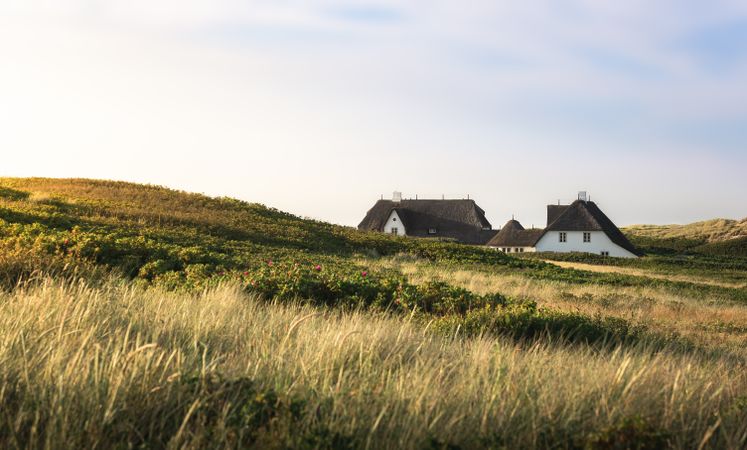Thatched roof houses and grassy dunes