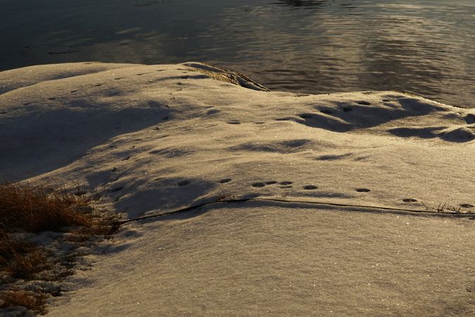 frosted river bank at winter on vibrant sunset