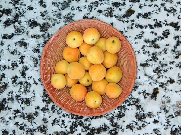 Apricots On Marble Background