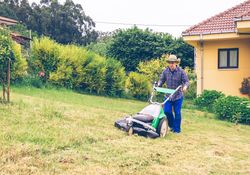 Young man mowing the lawn with lawnmower