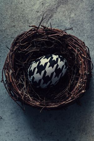Egg in bird nest in houndstooth pattern