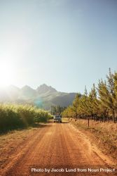 Outdoor image of distant car approaching on a rural dirt road on a sunny day bYGmD5