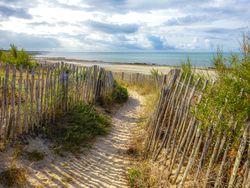 The coastal path at dawn, La Couarde sur Mer, France