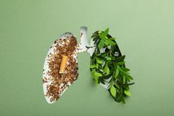 Mint green paper with lung shape cut out with half tobacco half foliage underneath