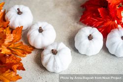 Squash decorations with autumn leaves beWN65