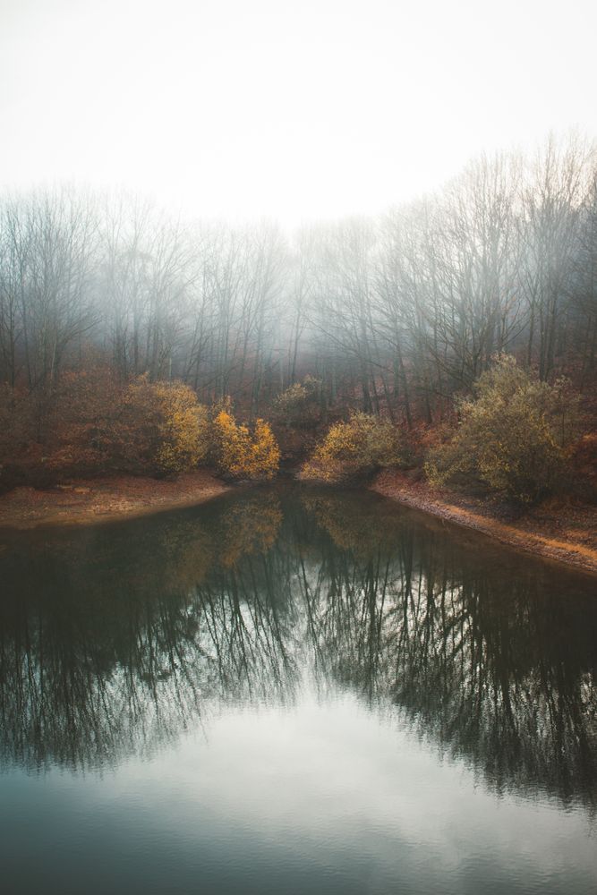 Tranquil water of lake in mist