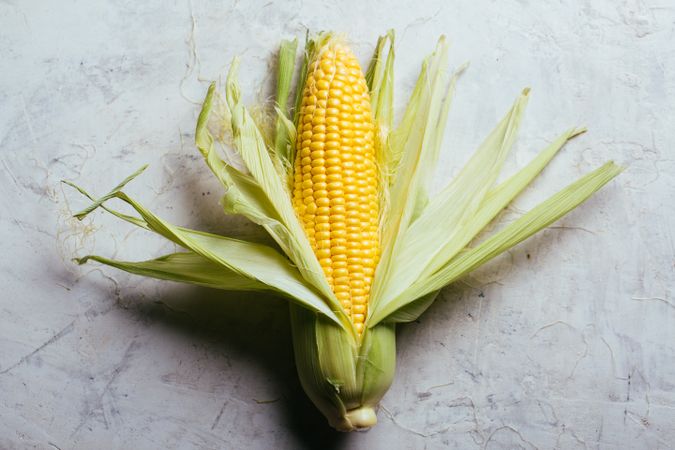Phases of fresh corn peeling