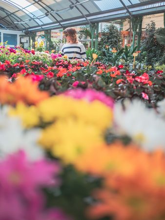 Female enjoying beautiful flowers in greenhouse
