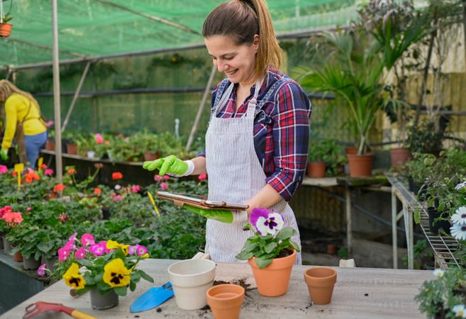 Cheerful woman browsing tablet in greenhouse with flowers