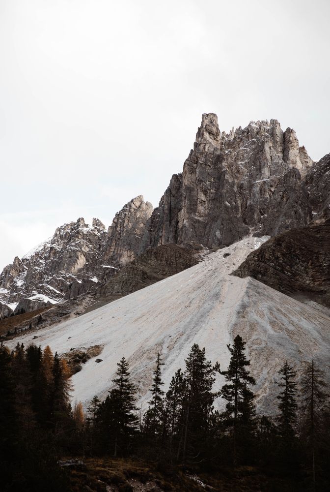 Big mountains near pine forest on cloudy weather
