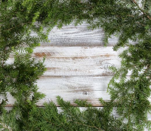 Real fir wreath with on rustic wood background for the Christmas or New Year holiday