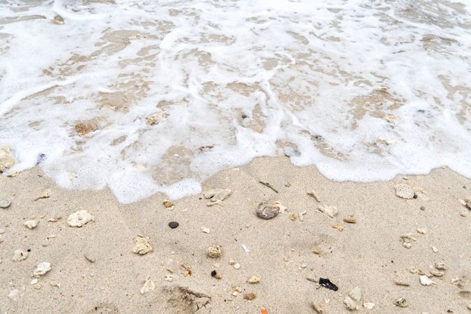 beautiful sandy with coral and ocean waves