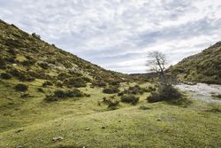 Green hill meadow valley
