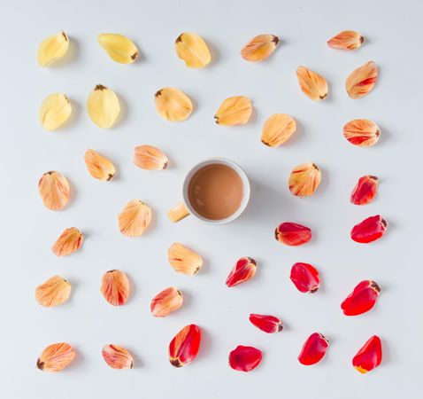 Colorful bright pattern made of tulip flower petals with coffee