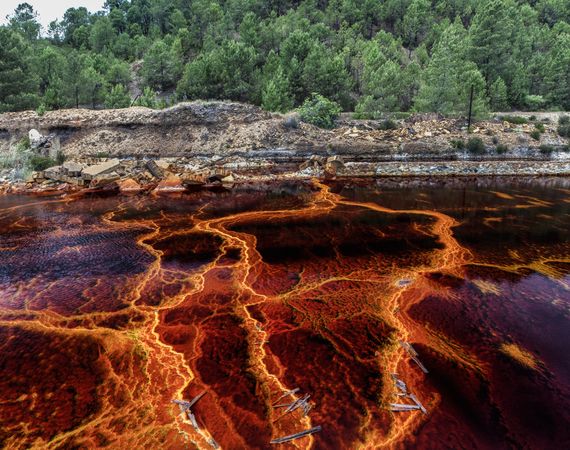 Bright orange splashes in nature