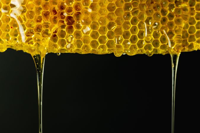 Honeycomb with golden honey
