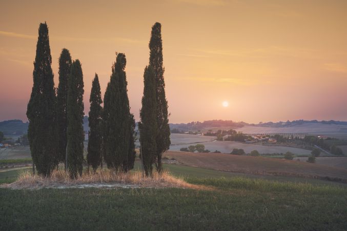 Sunset landscape in Maremma, rolling hills and cypress trees, Bibbona,Tuscany, Italy