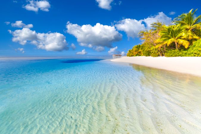 Clear beach water in the Maldives