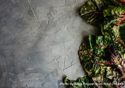 Organic food concept of fresh spinach leaves on grey counter with copy space 0gXYzM