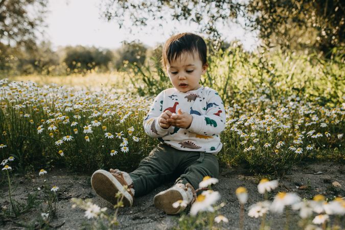 Child in dinosaur sweater in a field of daisies