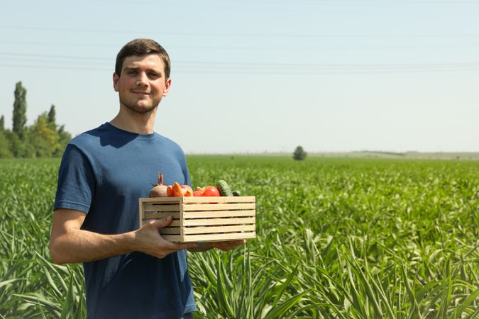 Man with wooden box of vegetables in corn field. Farming