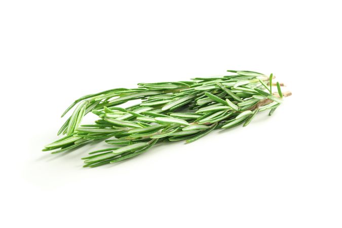Fresh green rosemary isolated on neutral background